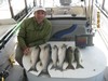 (05/06/2014) - Nice Striped Bass
